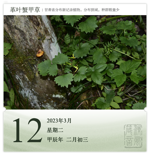 1710145839912775.png 箴历日历3-12.png