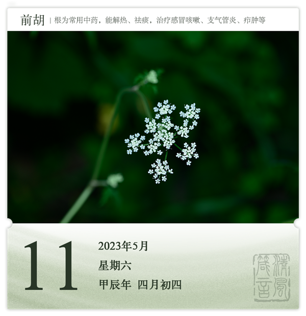 1714275300700448.png 箴历日历5-11.png