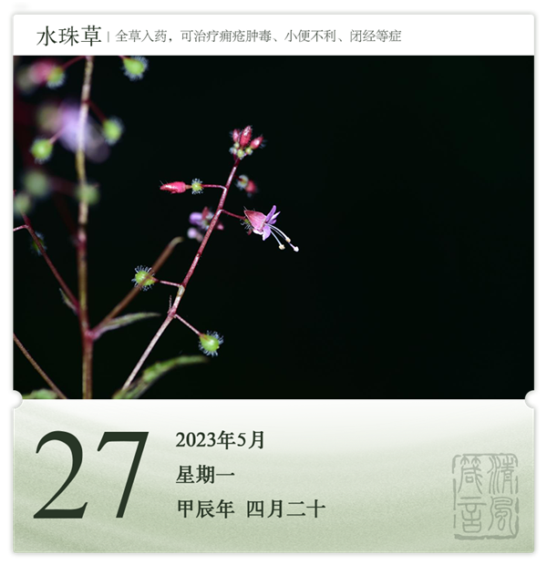 1714286431195717.png 箴历日历5-27.png
