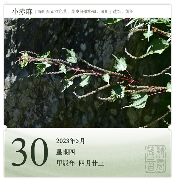 1714286632270809.png 箴历日历5-30.png