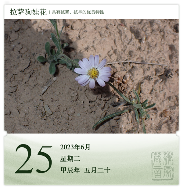 1718093214645863.png 箴历日历6-25.png