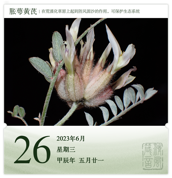 1718093239585734.png 箴历日历6-26.png