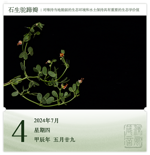 1719995998884738.png 箴历日历7-4.png