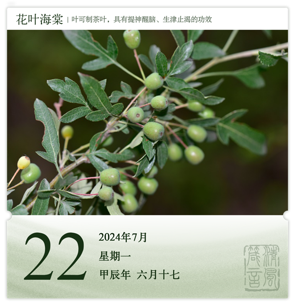 1721366898959402.png 箴历日历7-22.png