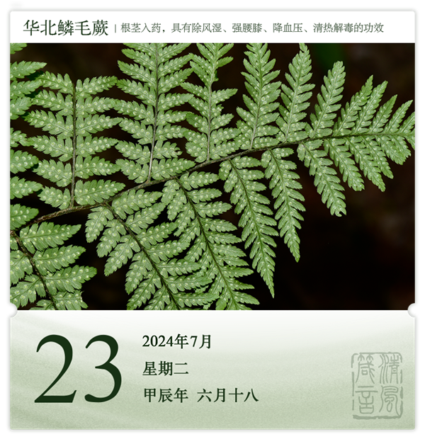 1721637973648070.png 箴历日历7-23.png