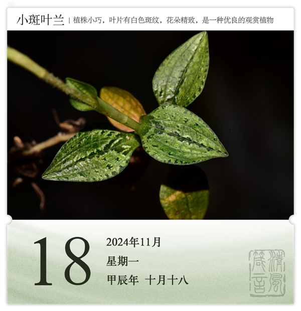 1730189245857471.png 箴历日历11-18.png