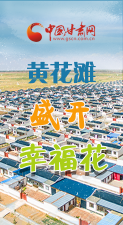 【跟着总书记看凯发k8】长图|武威黄花滩盛开幸福花 