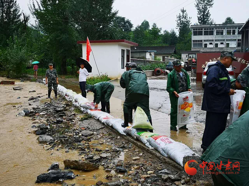 徽县：积极开展洪涝灾后生产自救