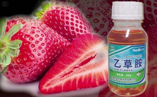 半小时测出千种农药残留技术落地兰州