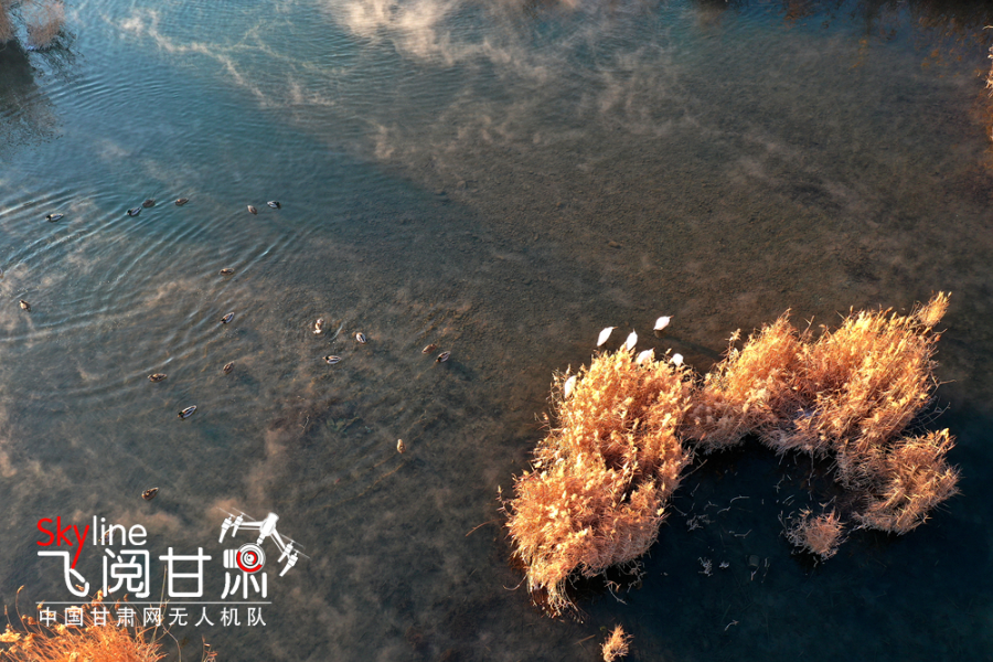 【飞阅凯发k8】张掖湿地公园：水雾蒸腾似仙境