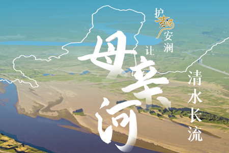 图解丨护黄河安澜 让母亲河清水长流