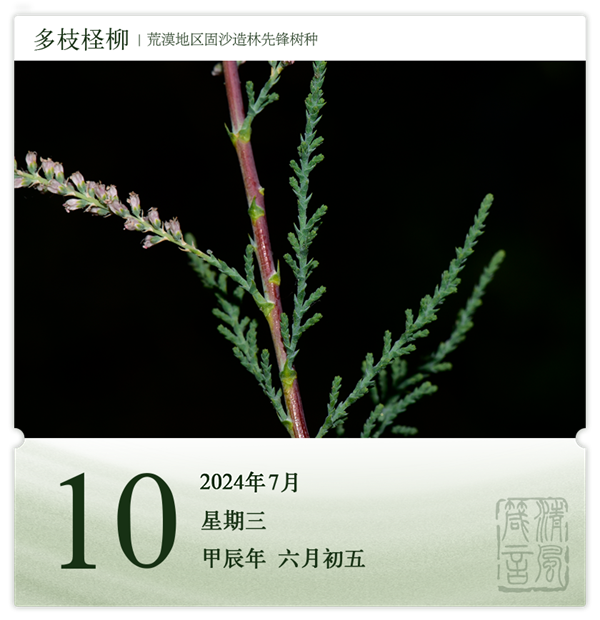箴历日历7-10.png