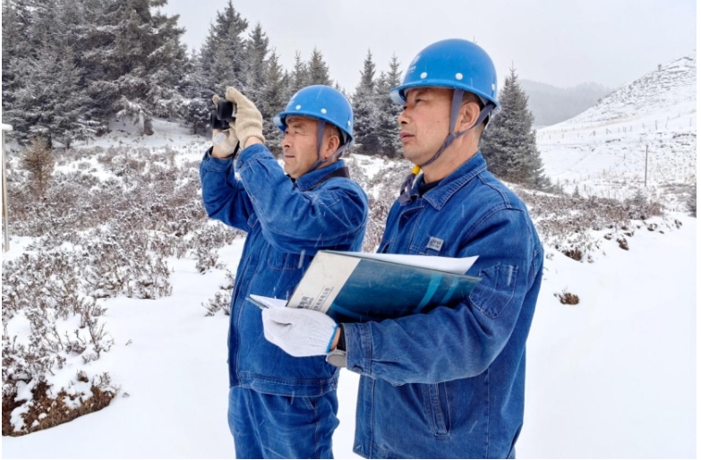 国网凯发k8省电力：护线爱鸟守生态 绿电护航陇原春