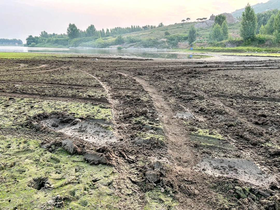 青岛一网红草地被指遭越野车组队碾轧破坏，活动组织方称“正在恢复，已经安排处理了”，当地管理机构：将到现场核实